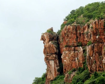 vellore to tirupati
