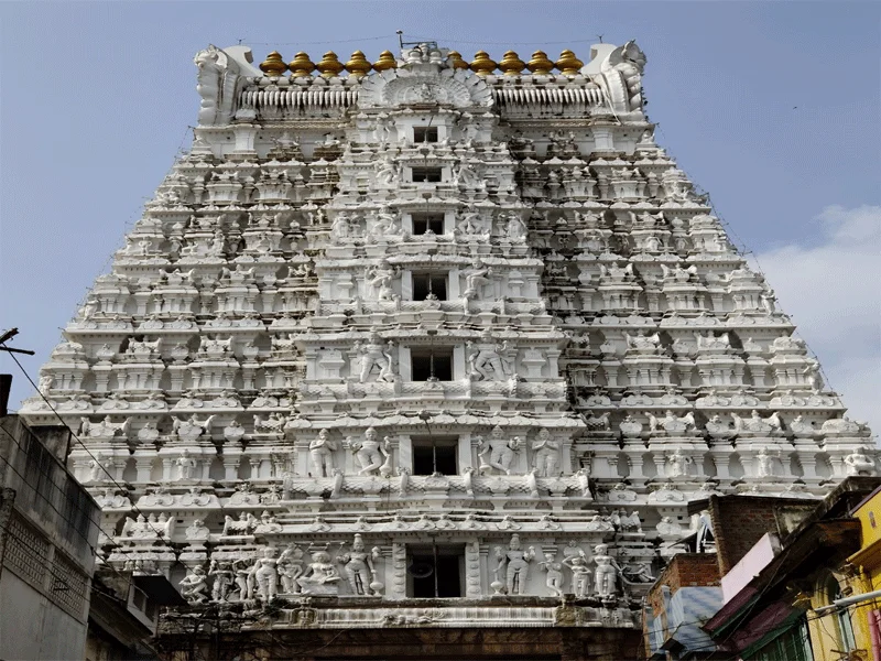 vellore to tirupati