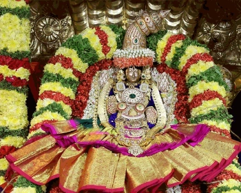 vellore to tirupati tour package