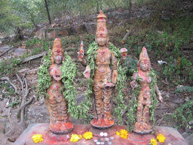 tirupati package from vellore