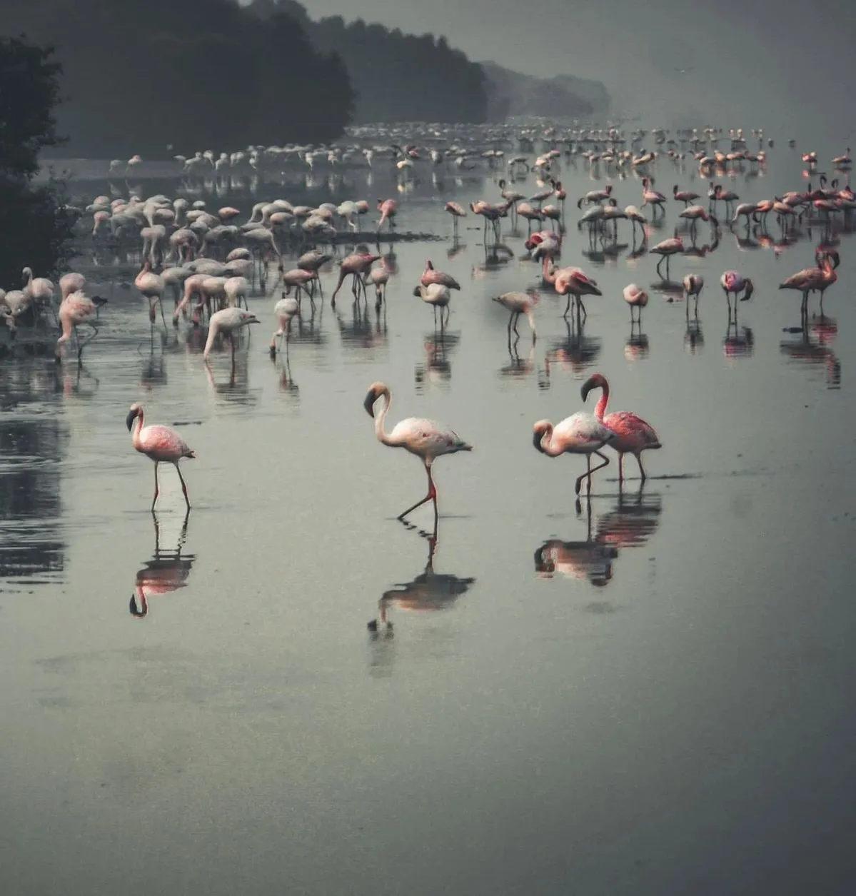 chennai to pulicat tour package