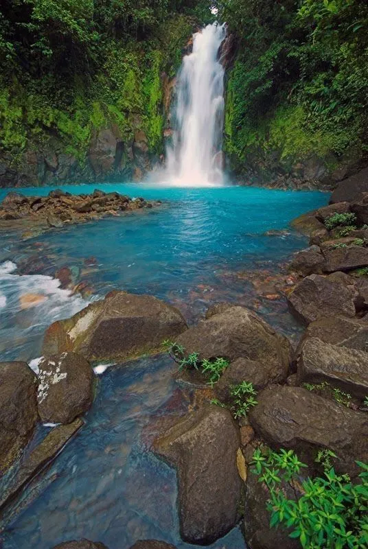 chennai to tada waterfalls tour package