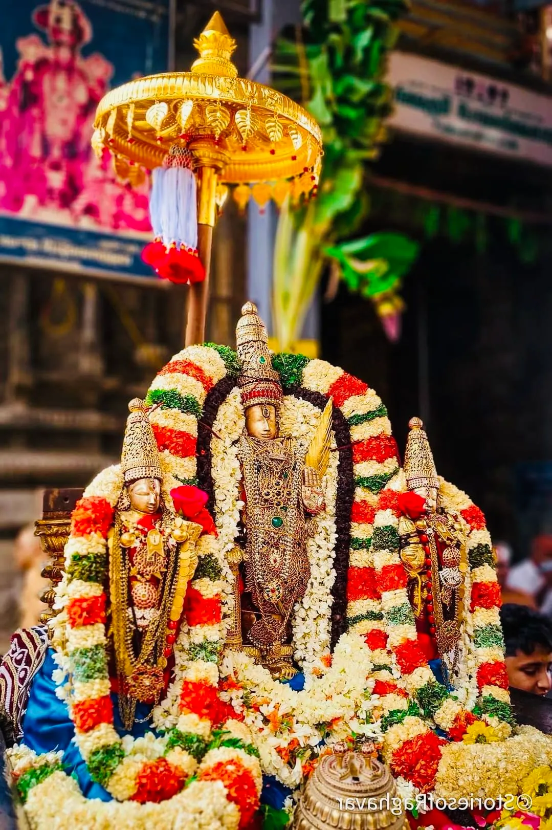 chennai to tirupati tour package