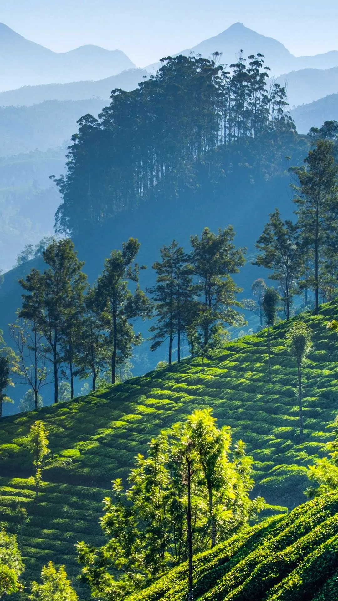 coimbatore to valparai tour package