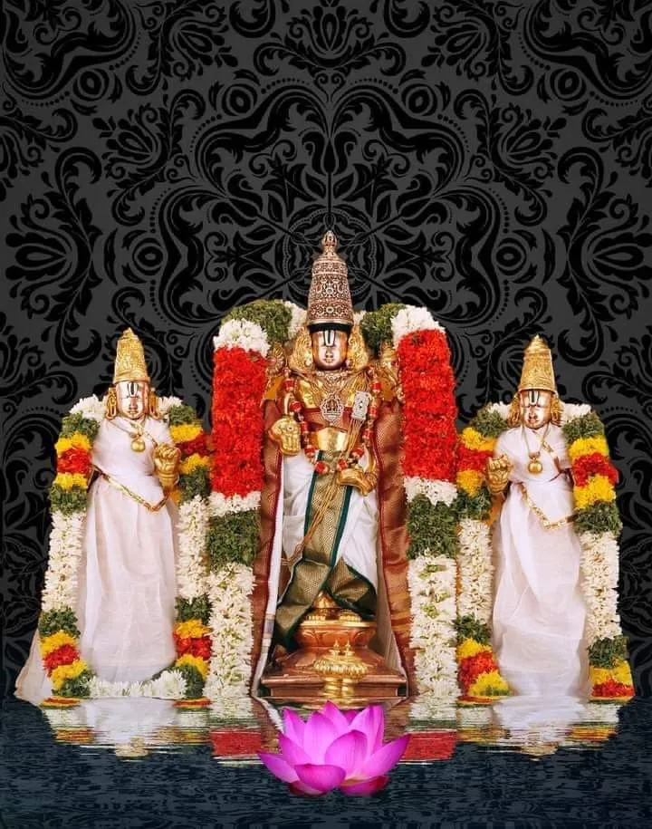 Vellore to Tirupati Package